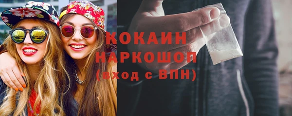 стафф Ельня