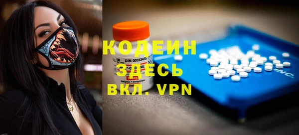 хмурый Елизово