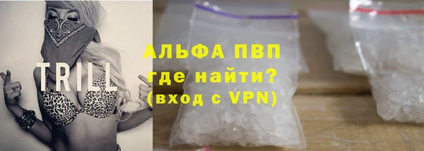 стафф Ельня