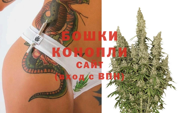 стафф Ельня