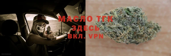 стафф Ельня
