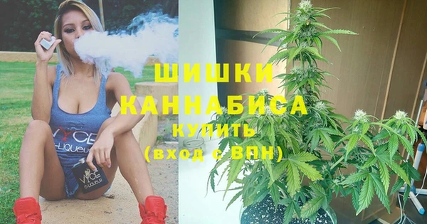 стафф Ельня