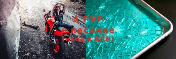 стафф Ельня
