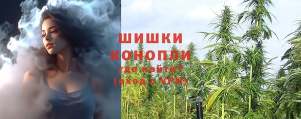 стафф Ельня