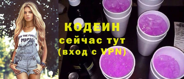 стафф Ельня
