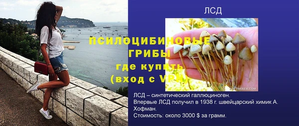 стафф Ельня