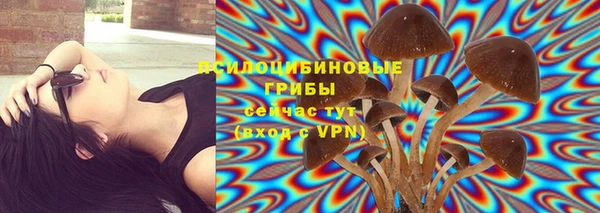 спайс Елабуга