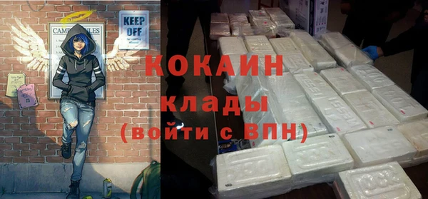 стафф Ельня