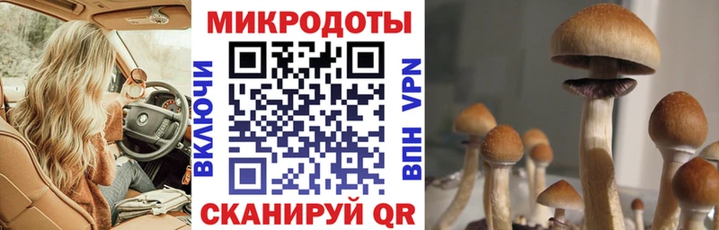 Псилоцибиновые грибы мухоморы  Купить закладки  Черемхово 